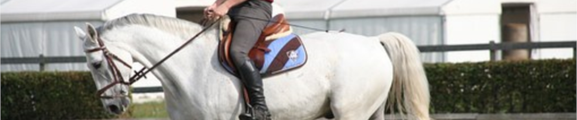 Centros deportivos | 05_cen_dep_hipico.jpg